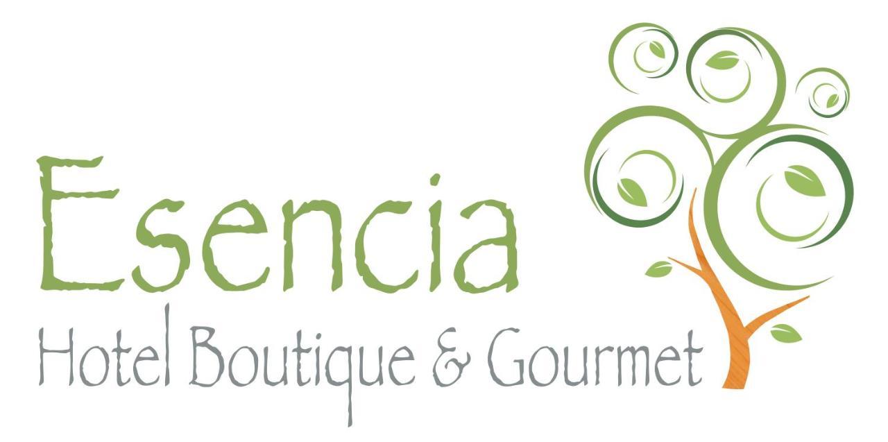 Esencia Hotel Boutique Винья-дель-Мар Экстерьер фото